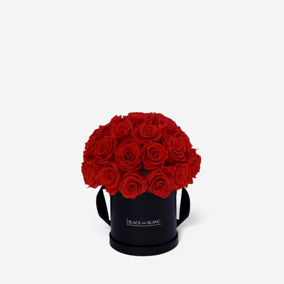 Vibrant Red Dôme Classic - Infinity Roses - BLACK AND BLANC