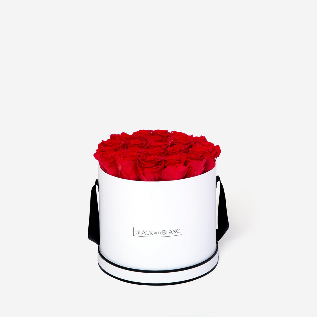 Vibrant Red Round - Infinity Roses - BLACK AND BLANC