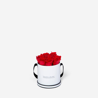 Vibrant Red Round - Infinity Roses - BLACK AND BLANC