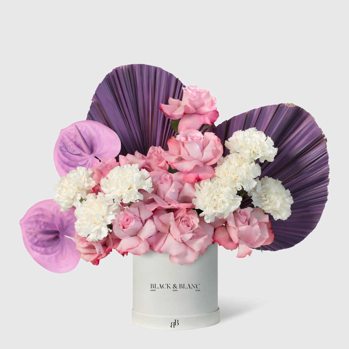 Violet Poise in Box - BLACK AND BLANC