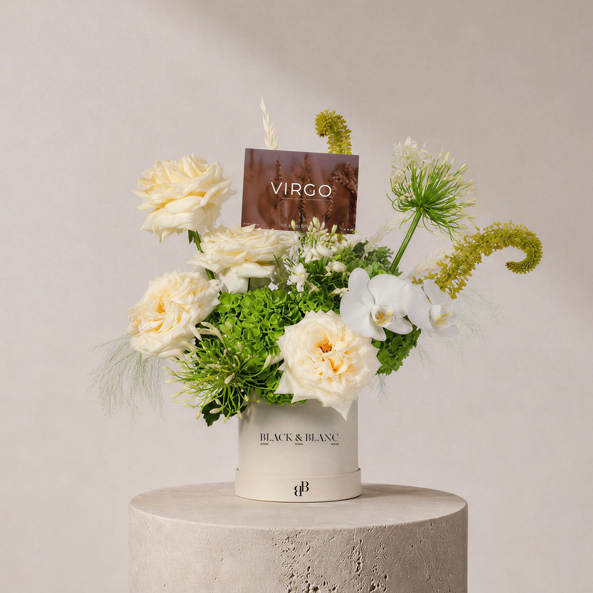 Virgo - Grain and Grass in Box - BLACK AND BLANC