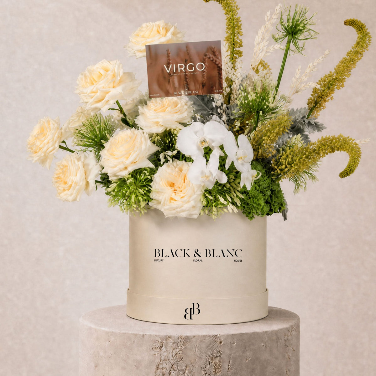 Virgo - Grain and Grass in Box - BLACK AND BLANC