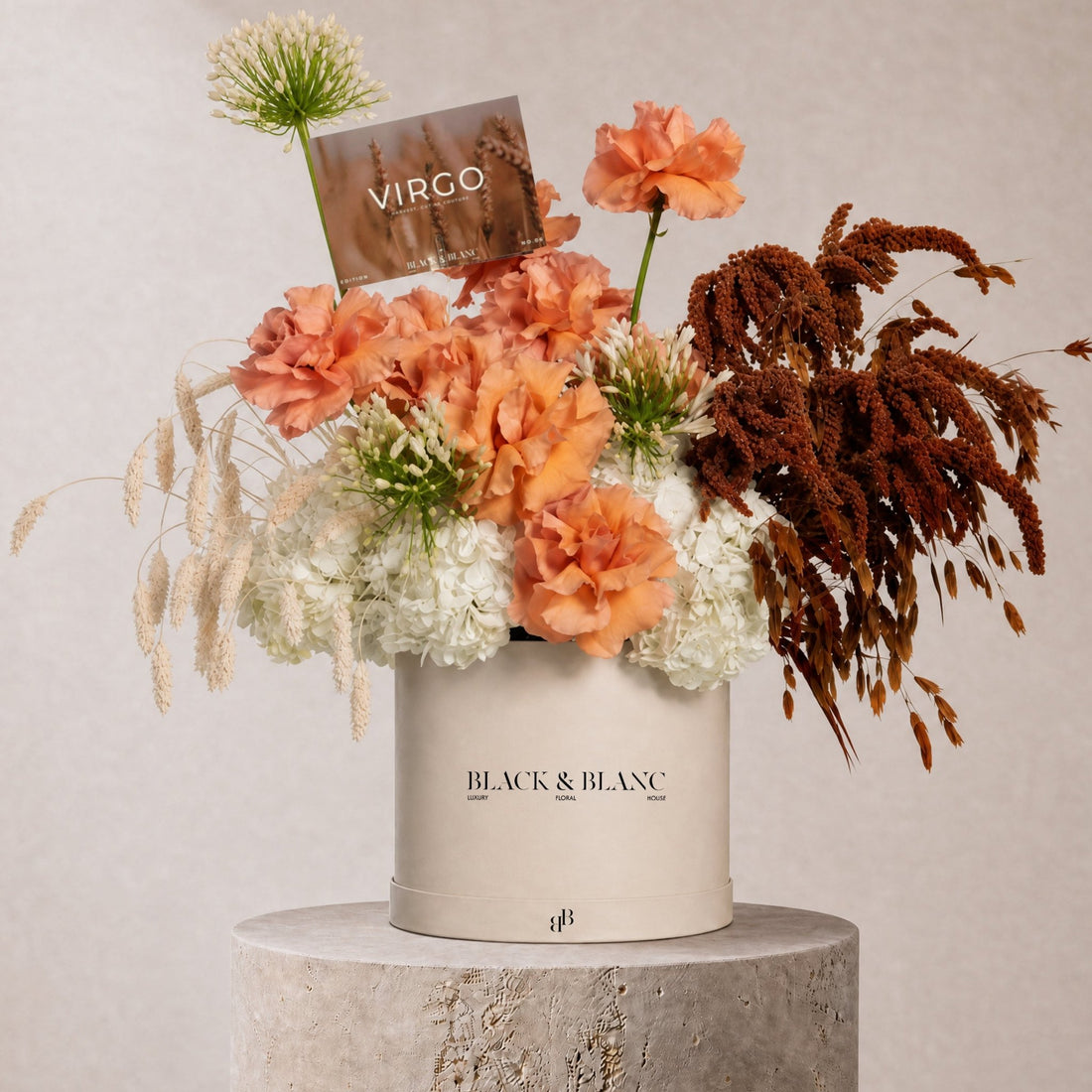Virgo - The Soil in Box - BLACK AND BLANC