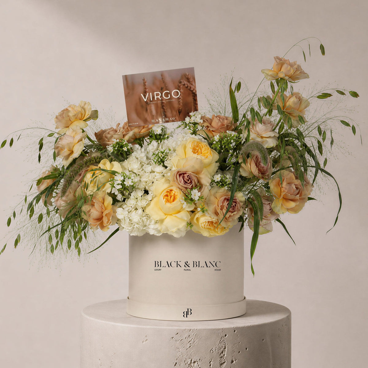Virgo - The Standing Sheaf in Box - BLACK AND BLANC