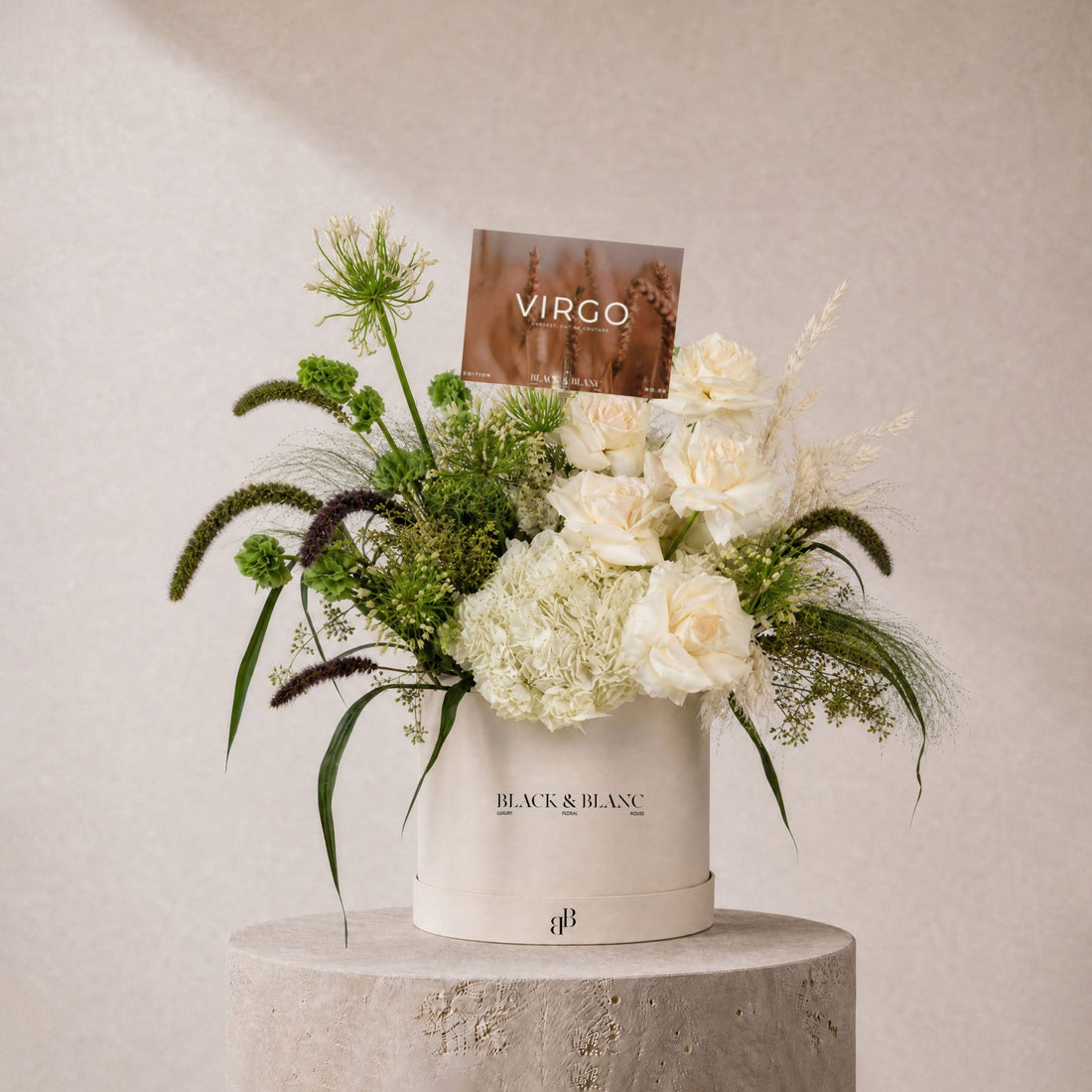Virgo - Viride in Box - BLACK AND BLANC