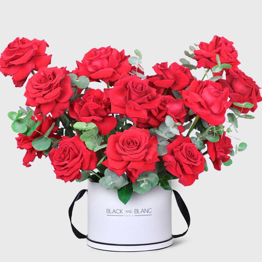 Vivid Passion in Box - BLACK AND BLANC