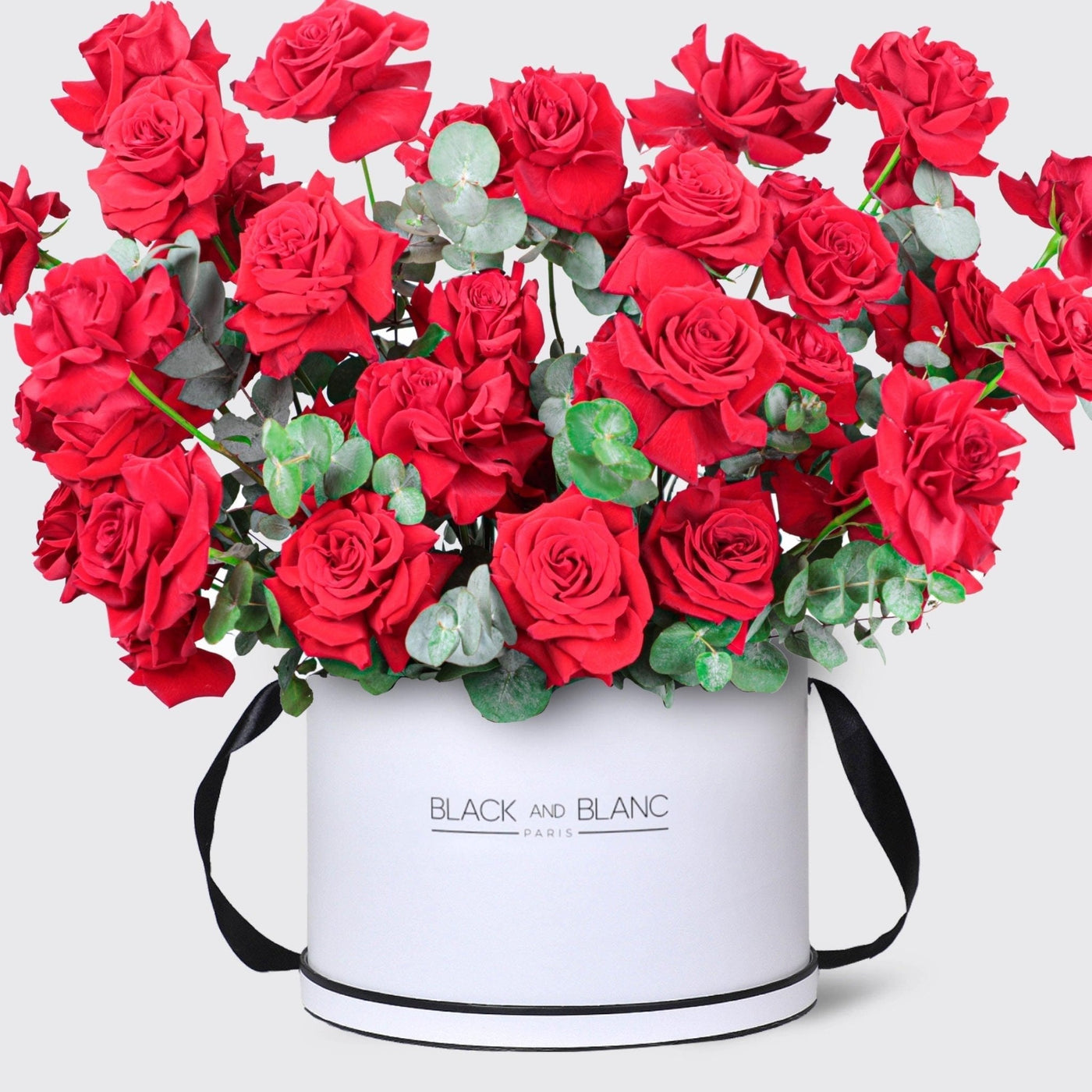 Vivid Passion in Box - BLACK AND BLANC
