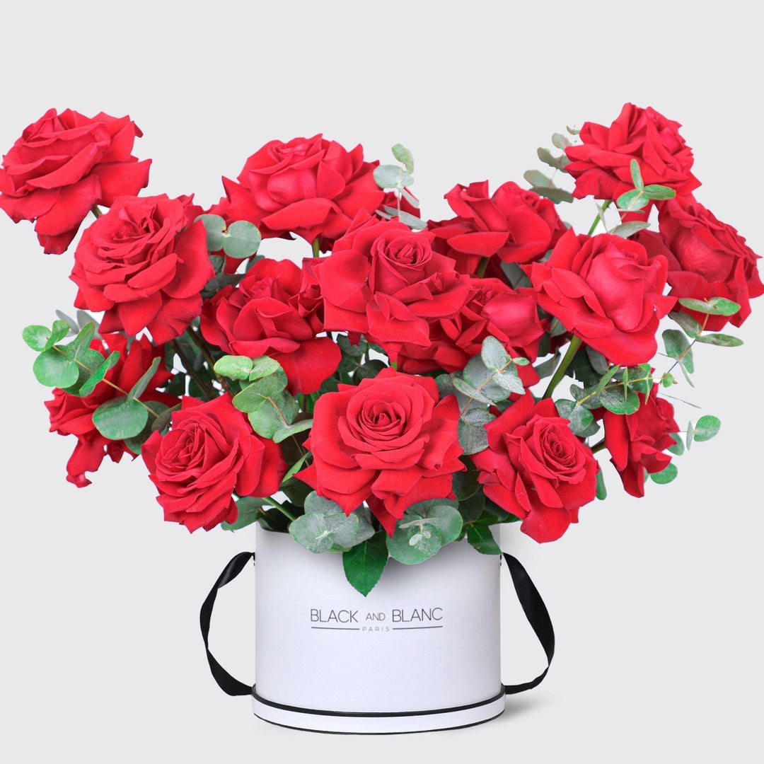 Vivid Passion in Box - BLACK AND BLANC