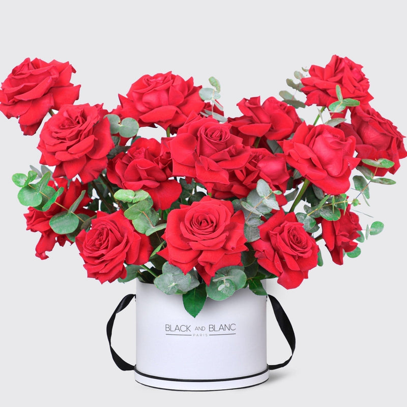 Vivid Passion in Box - BLACK AND BLANC