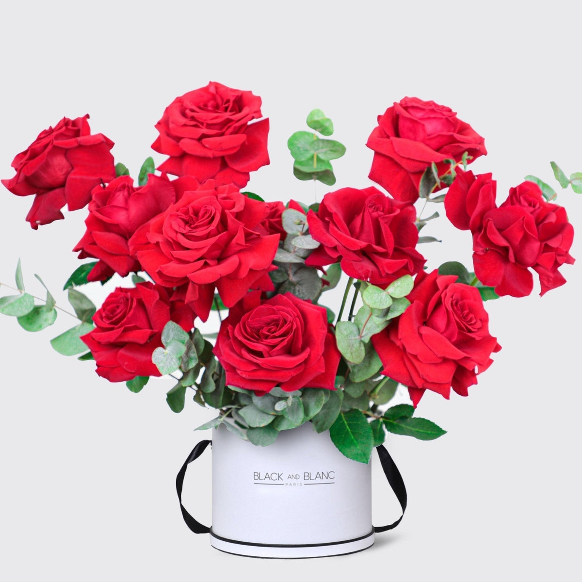 Vivid Passion in Box - BLACK AND BLANC