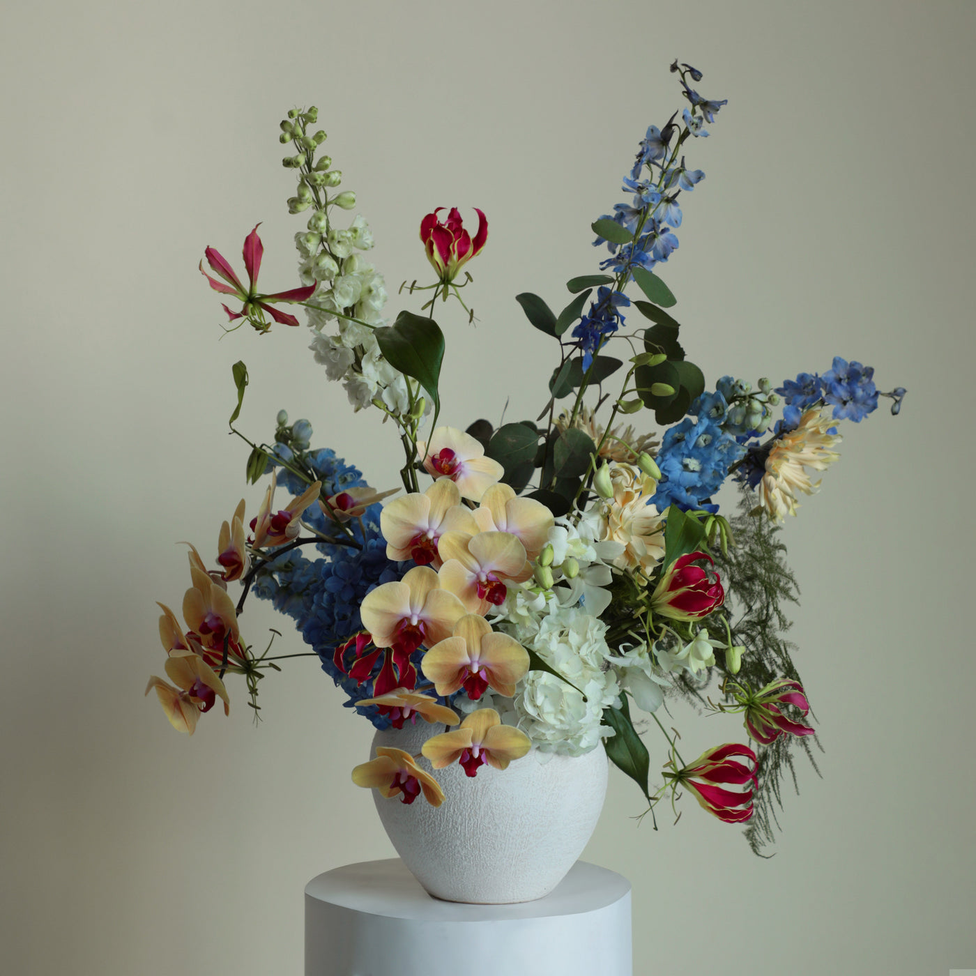 Whimsical Wonderland