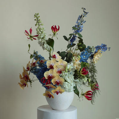 Whimsical Wonderland