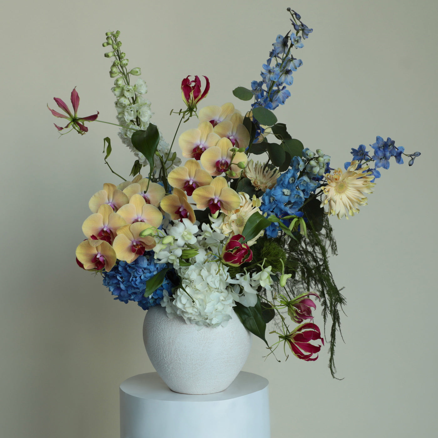 Whimsical Wonderland