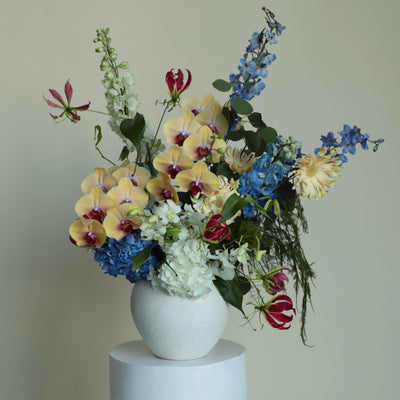 Whimsical Wonderland