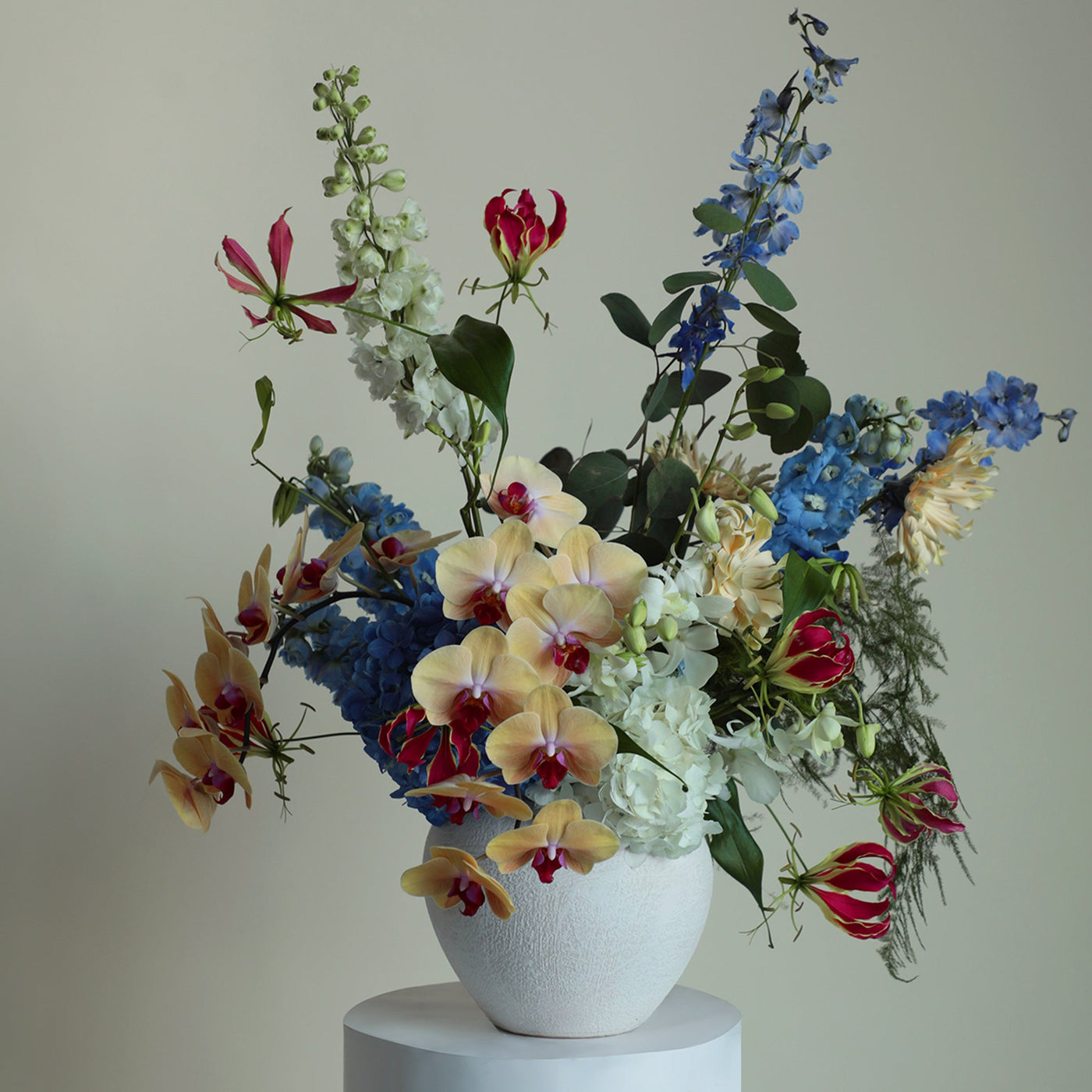 Whimsical Wonderland