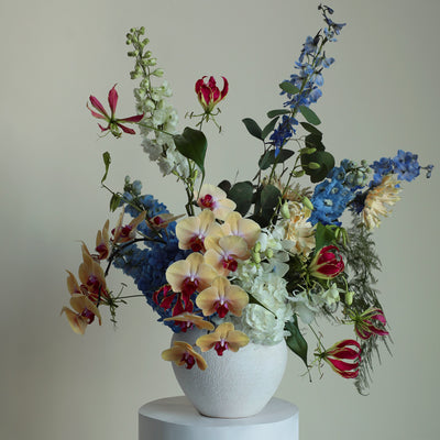 Whimsical Wonderland