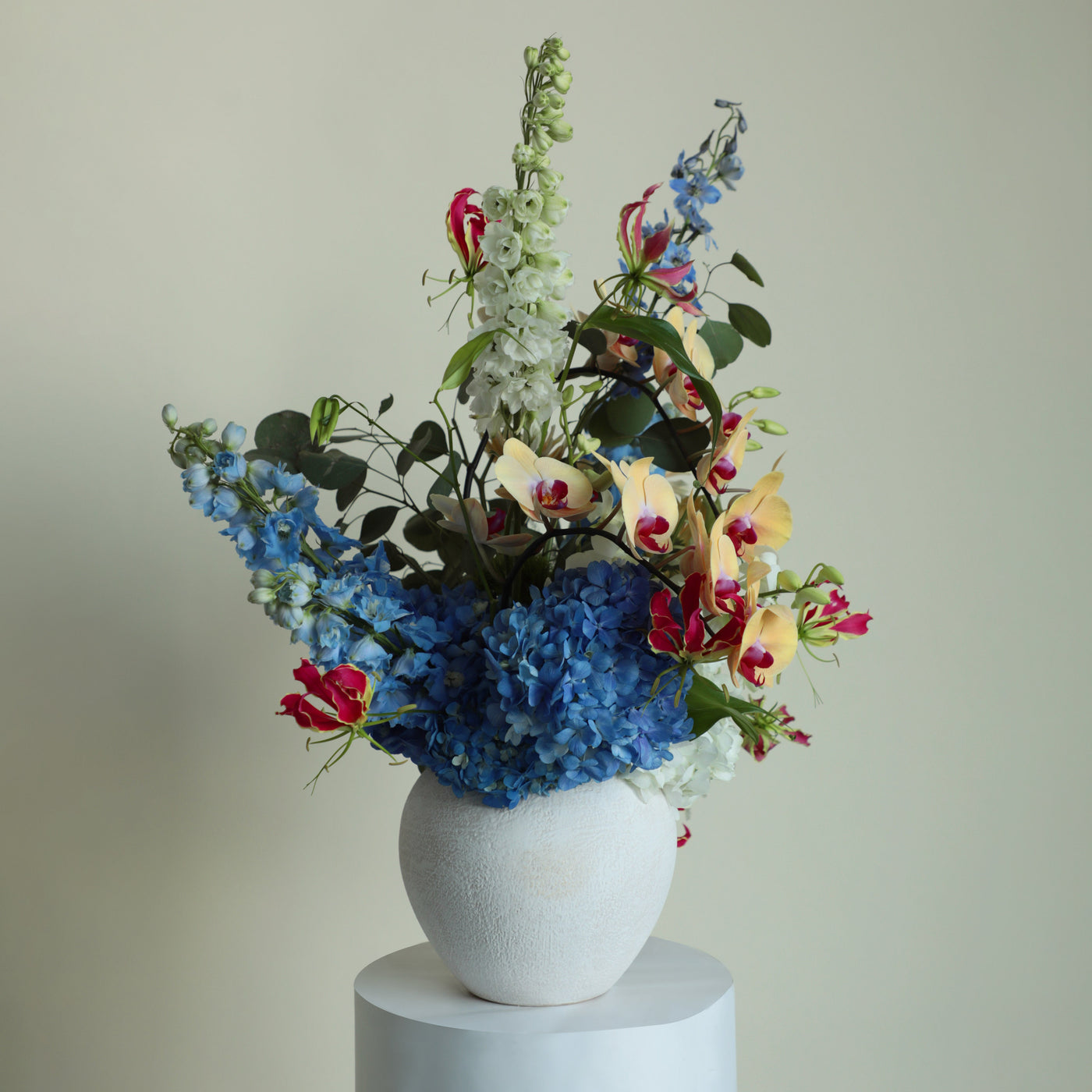 Whimsical Wonderland