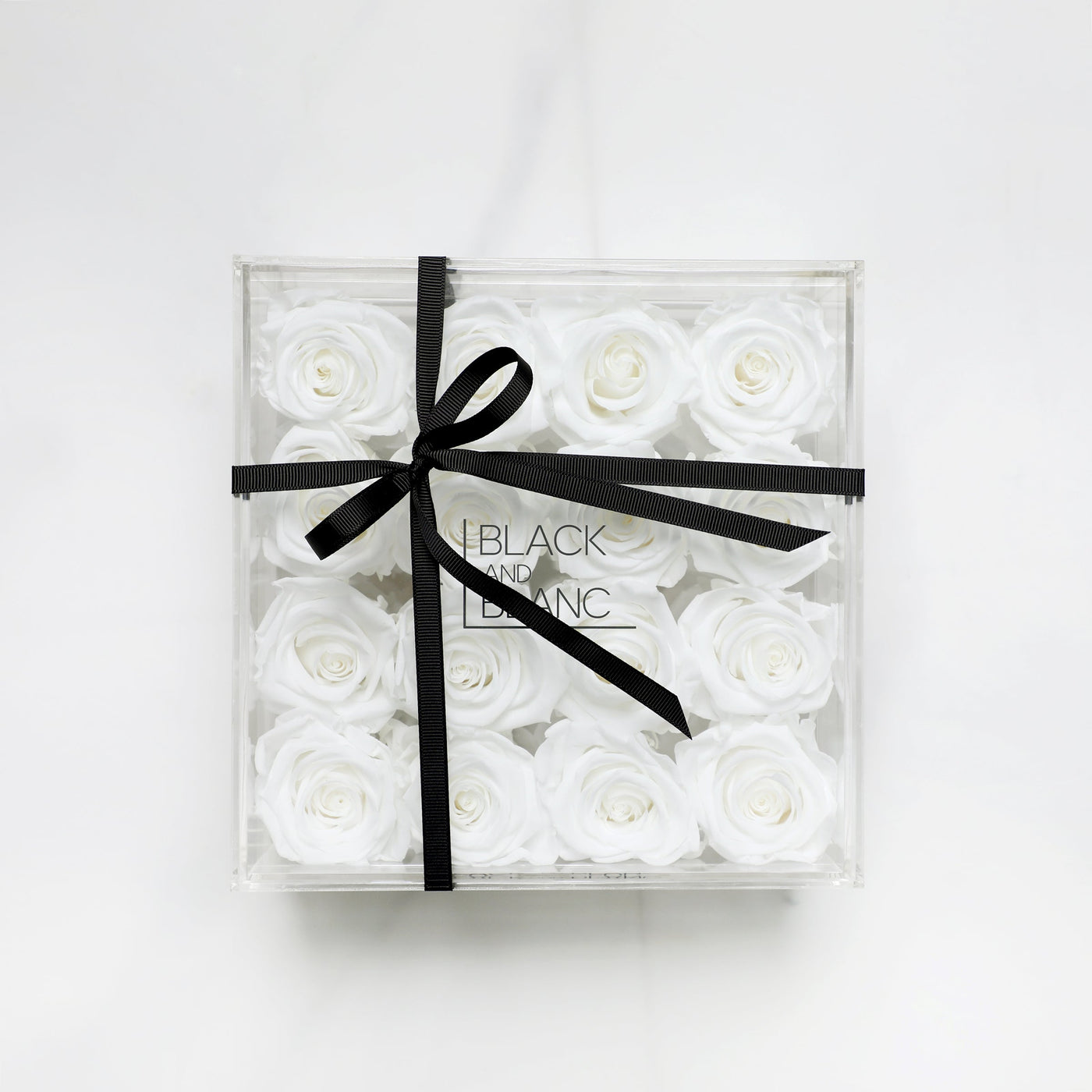 White Clear - Infinity Roses - Infinity Roses