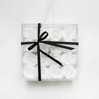 White Clear - Infinity Roses - Infinity Roses