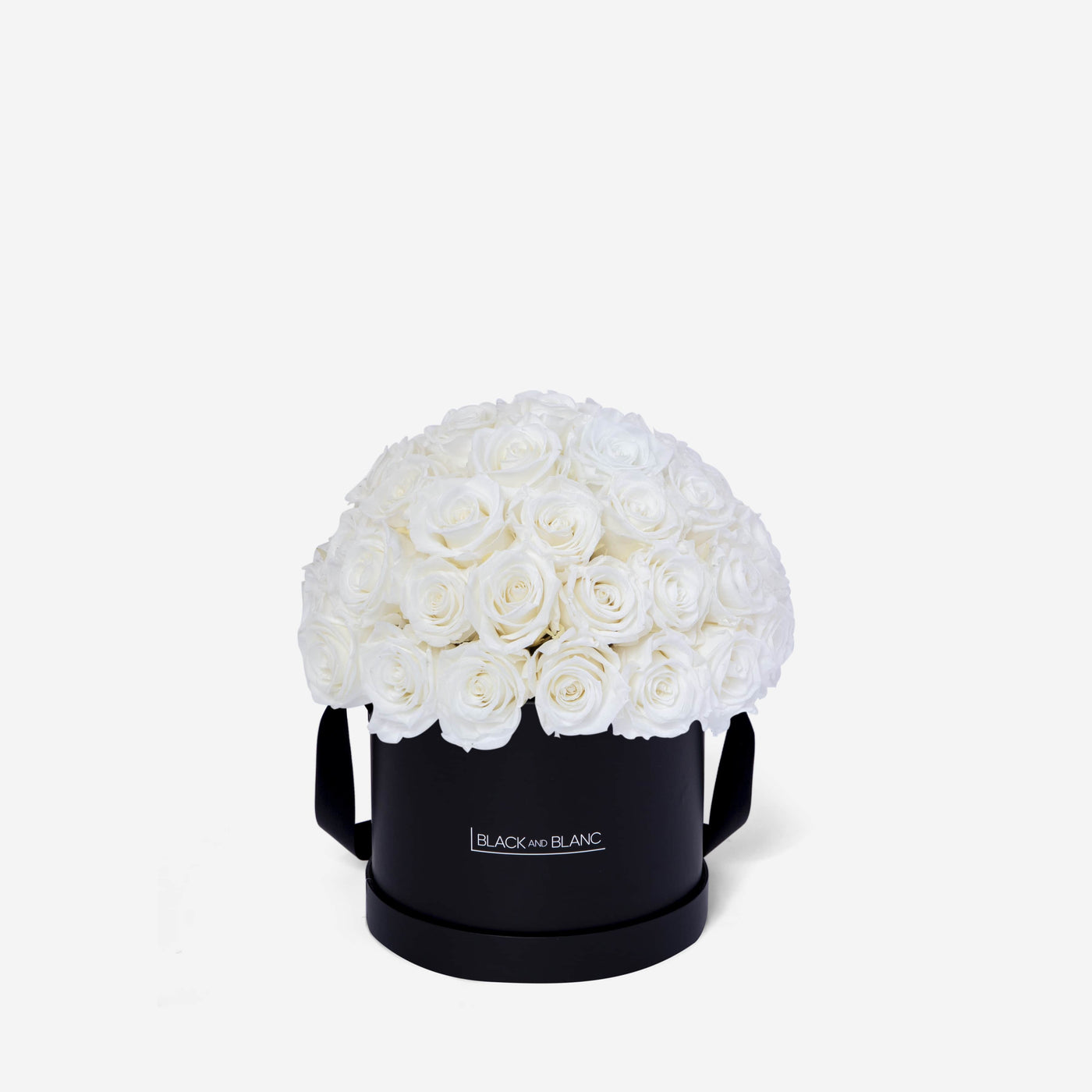 White Dôme Classic - Infinity Roses - Le Grand / Black