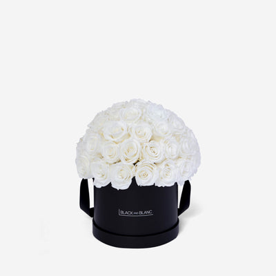 White Dôme Classic - Infinity Roses - Le Grand / Black