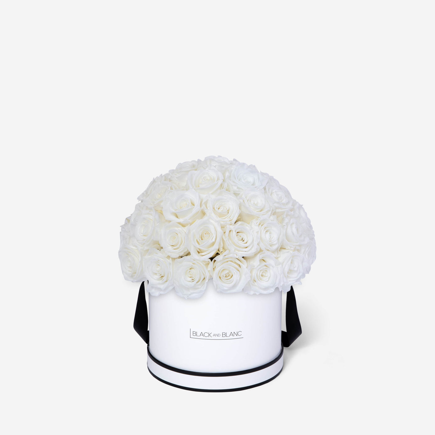 White Dôme Classic - Infinity Roses - Le Grand / White