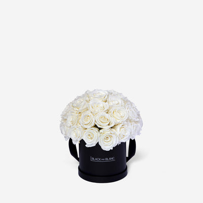 White Dôme Classic - Infinity Roses - Le Medium / Black