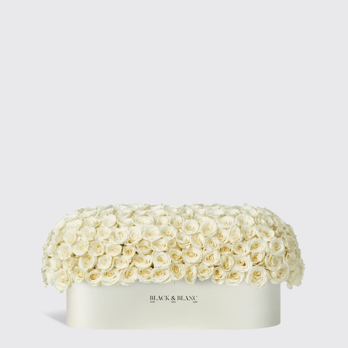 White Dome in 1 Meter Box - BLACK AND BLANC