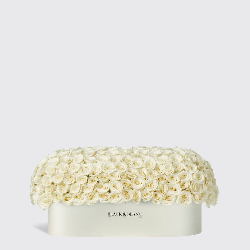 White Dome in 1 Meter Box - BLACK AND BLANC