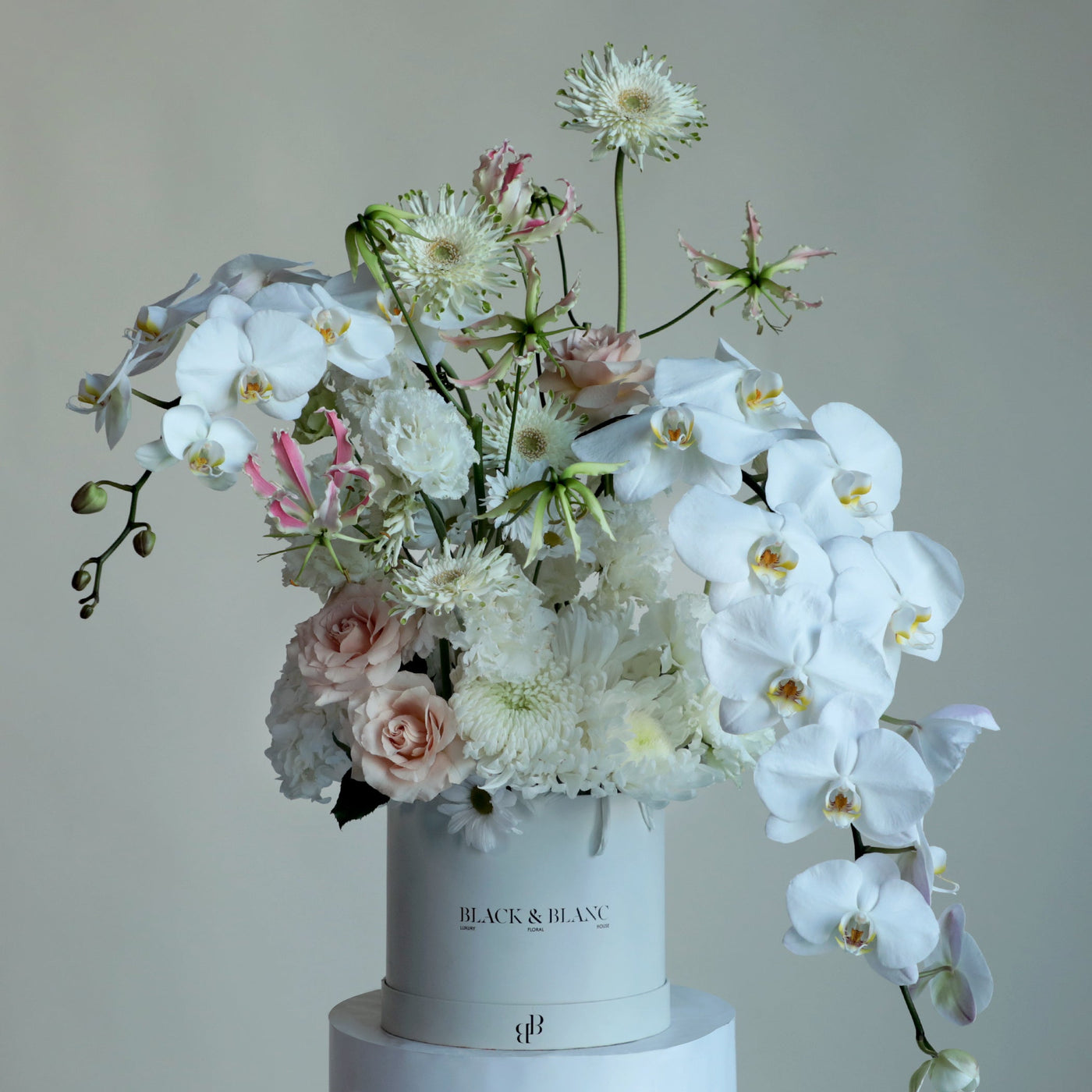 White Eclipse in Bloom