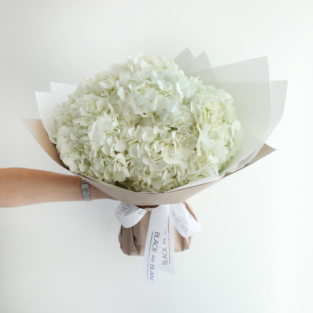 Demoiselle Emile White Hydrangea Bouqs - Fresh Flowers - BLACK AND BLANC