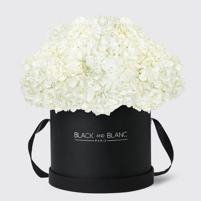 White Hydrangea in Box - Fresh Flowers - Le Luxi / Black - Box