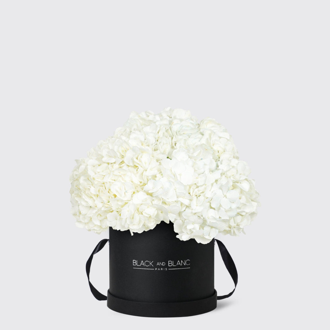 White Hydrangea in Box - BLACK AND BLANC