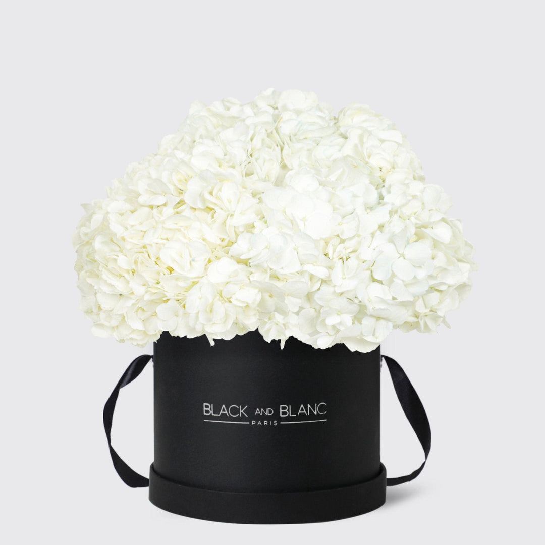 White Hydrangea in Box - BLACK AND BLANC