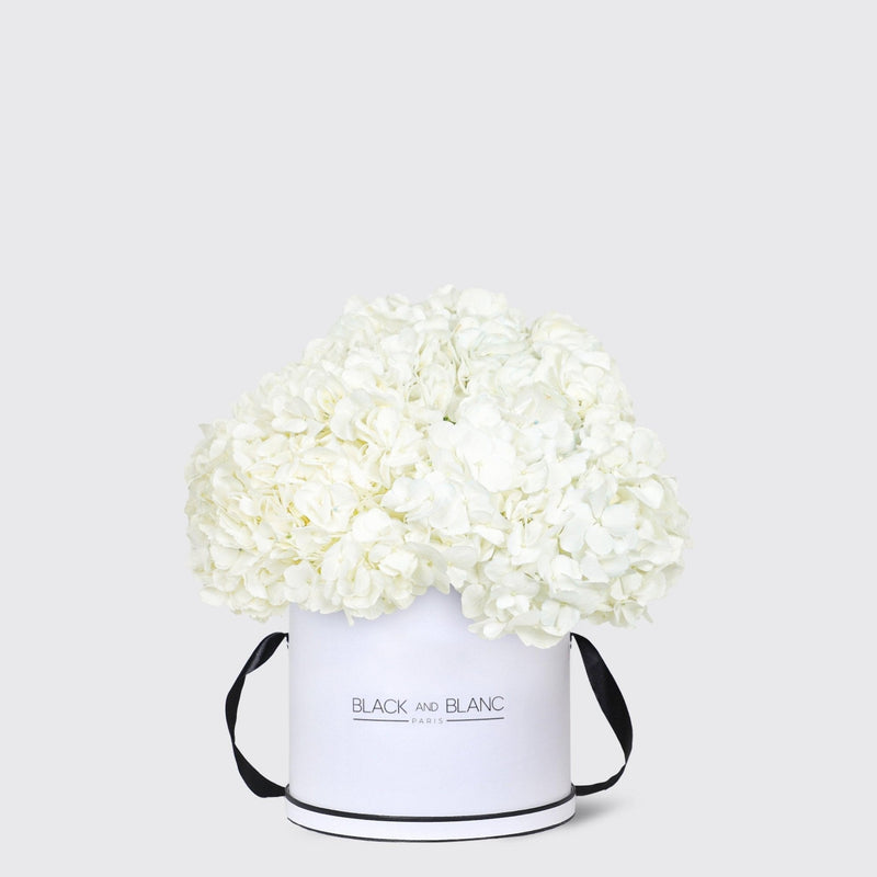 White Hydrangea in Box - BLACK AND BLANC