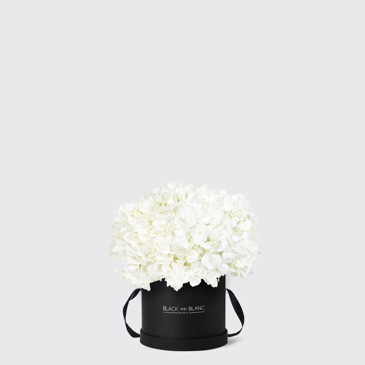 White Hydrangea in Box - BLACK AND BLANC