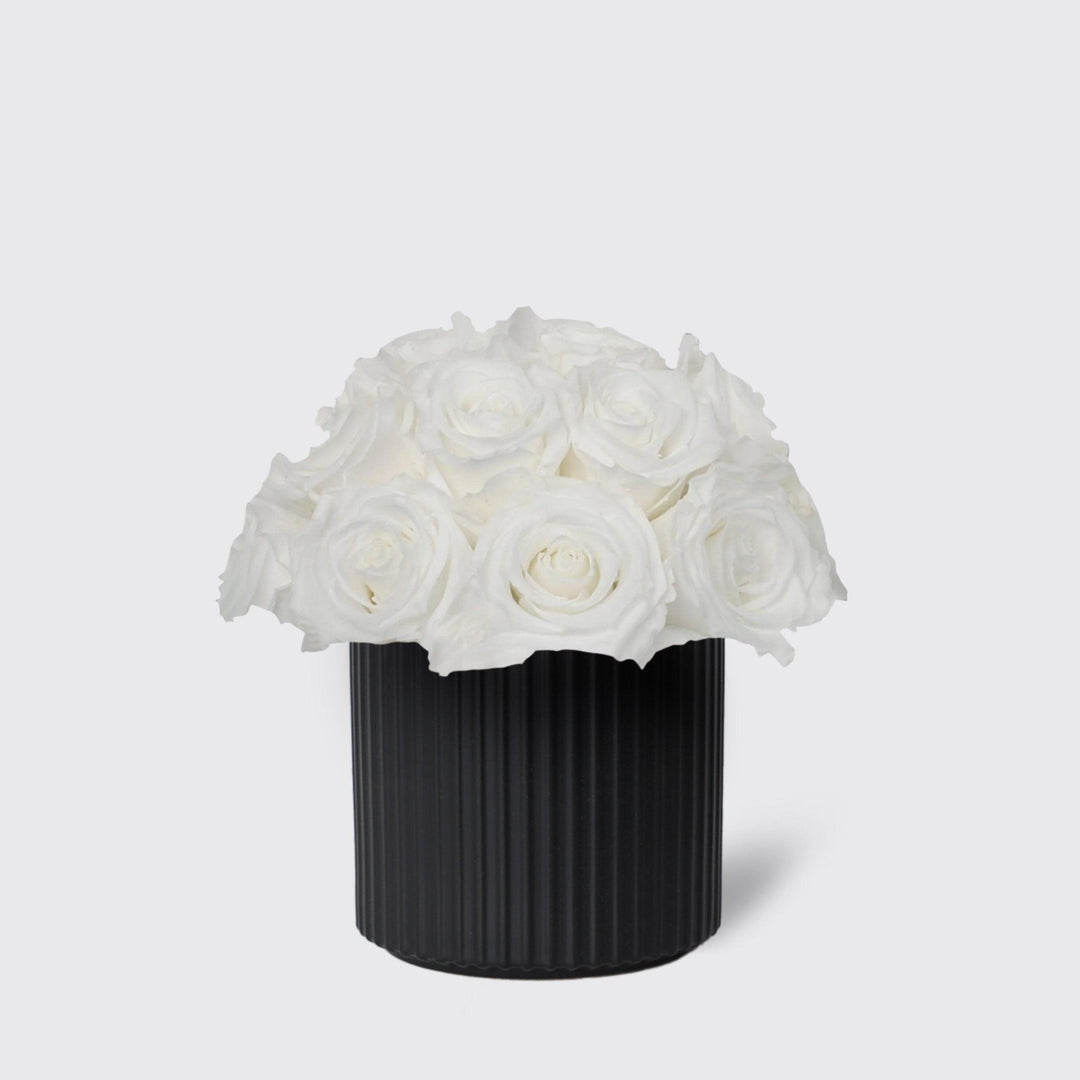 White in Vase - Infinity Roses - BLACK AND BLANC