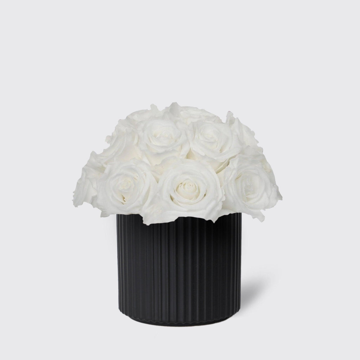 White in Vase - Infinity Roses - BLACK AND BLANC