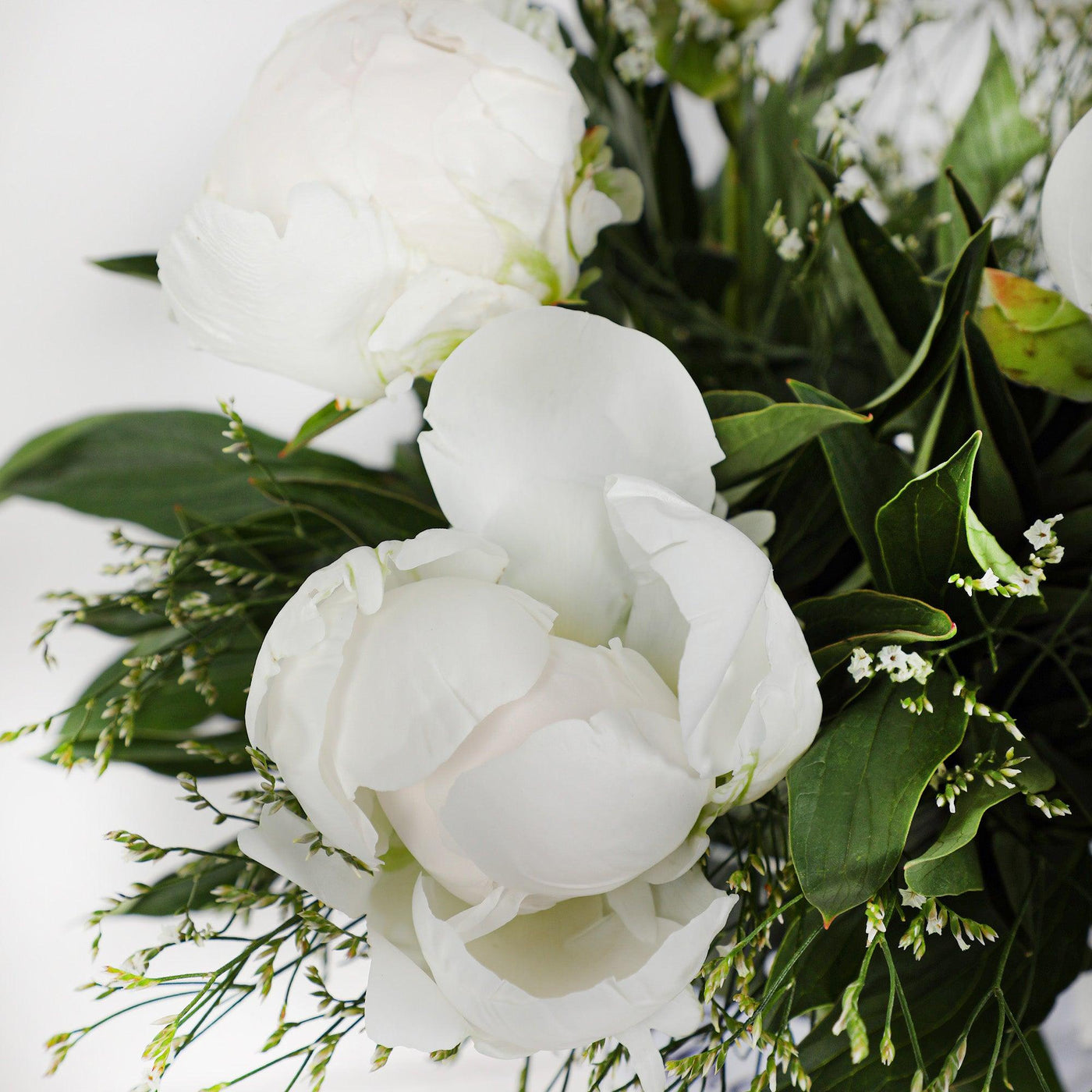 White Peony Bouqs - Fresh Flowers - BLACK AND BLANC