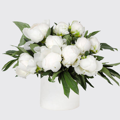 White Peony in Vase - Fresh Flowers - Vase