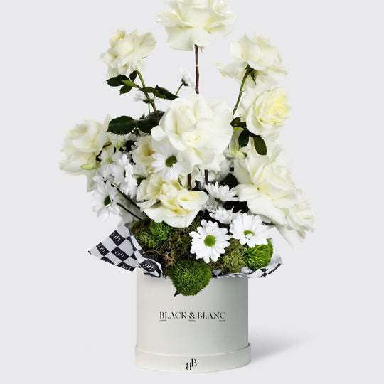 White Queen in Box - BLACK AND BLANC