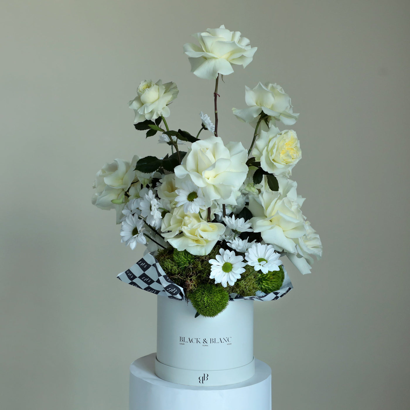 White Queen in Box - Le Grand / White