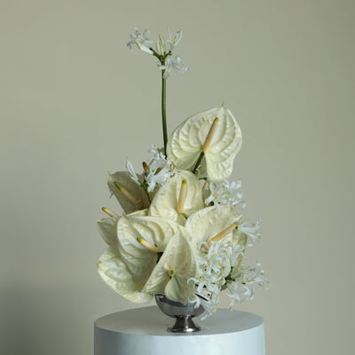 White Wonderland in Vase