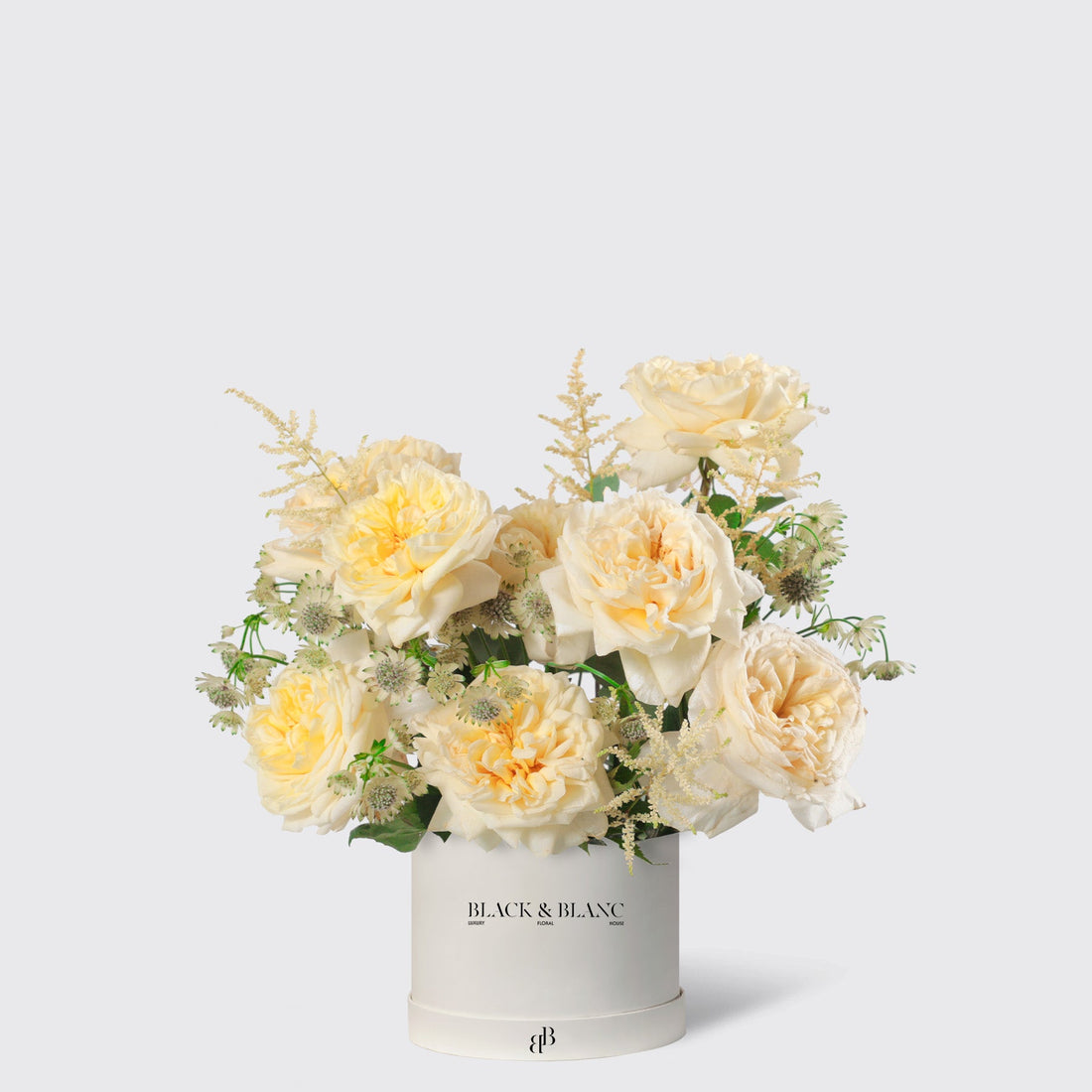 Wild Champagne Garden Rose in Box - BLACK AND BLANC