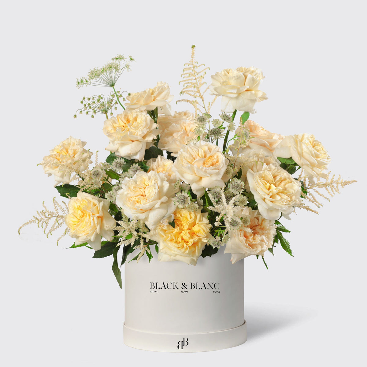 Wild Champagne Garden Rose in Box - BLACK AND BLANC