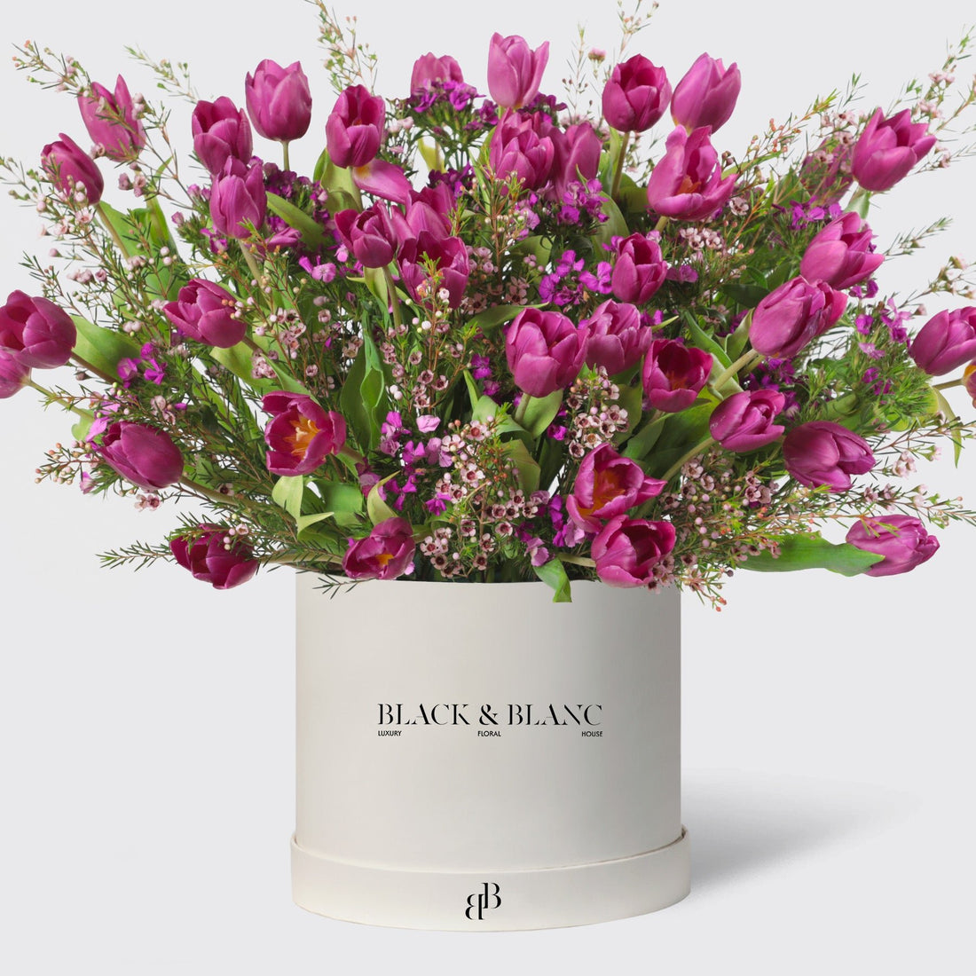 Wild Purple Tulips in Box - BLACK AND BLANC
