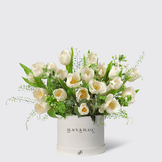 Wild White Tulips in Box - BLACK AND BLANC
