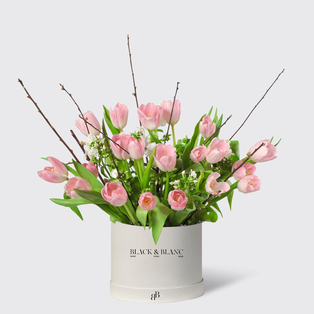 Wild White Tulips in Box - BLACK AND BLANC