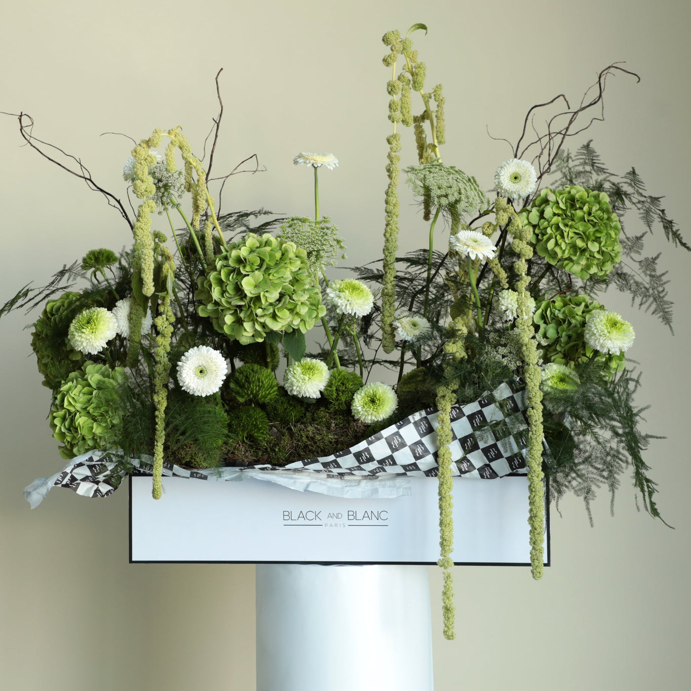 Wonderland in One Meter Box