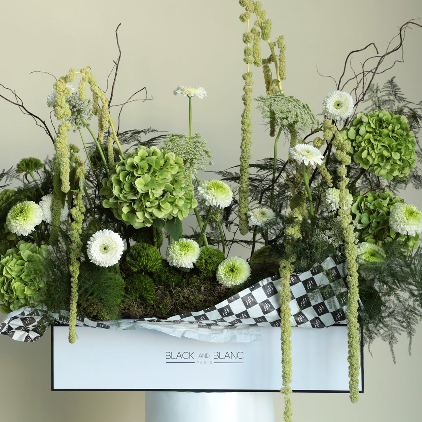 Wonderland in One Meter Box